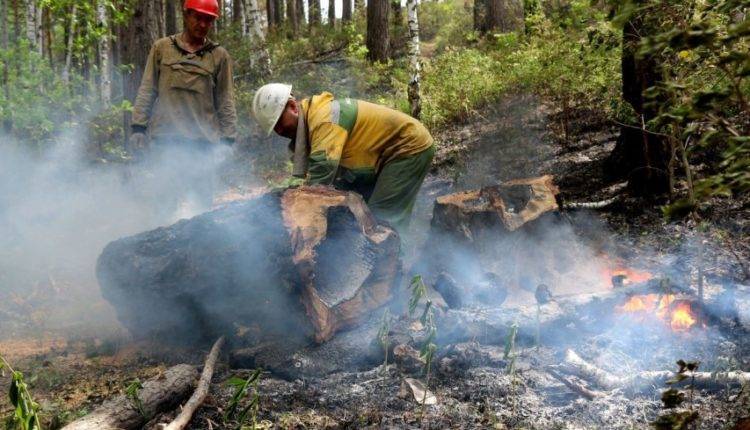 Площадь лесных пожаров в России выросла за выходные на 10 тыс.гектаров