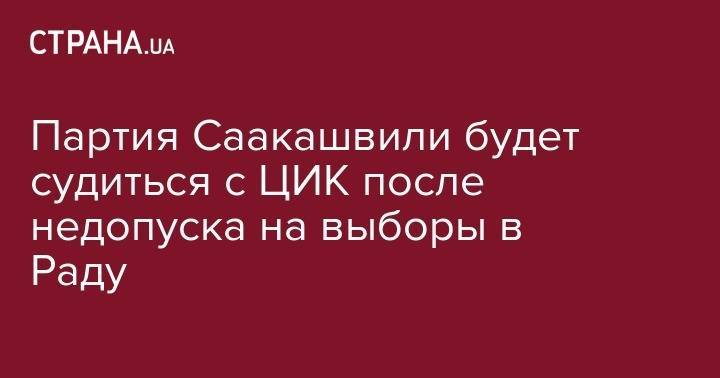 Давид Сакварелидзе - Партия Саакашвили будет судиться с ЦИК после недопуска на выборы в Раду - strana.ua