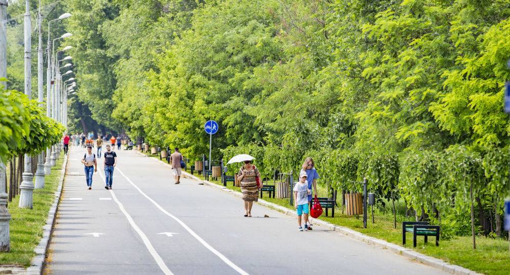 Аномальная жара в Украине бьет все рекорды: такого не было 100 лет