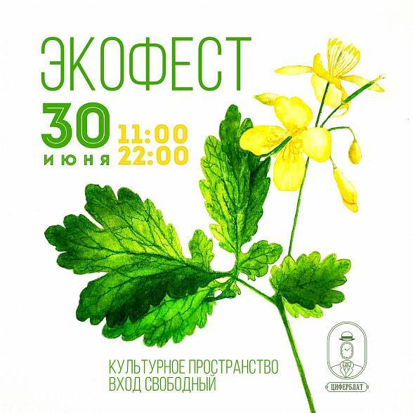 В Ростове пройдет первый фестиваль экологии и творчества