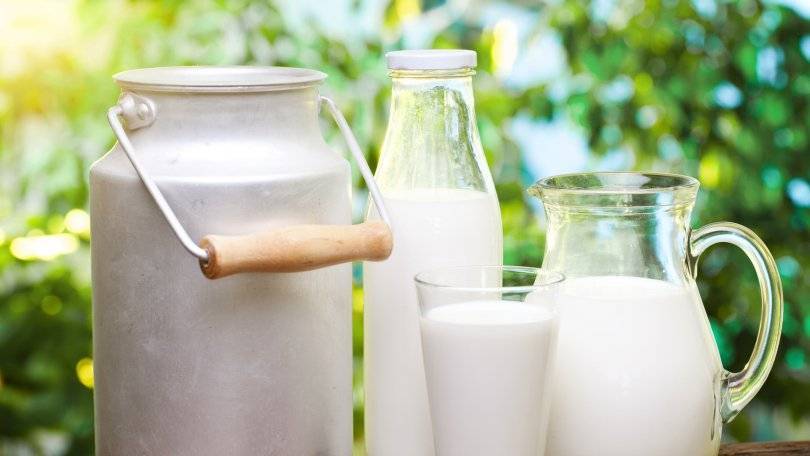 Депутаты Башкирии намерены проверить молочную продукцию в республике