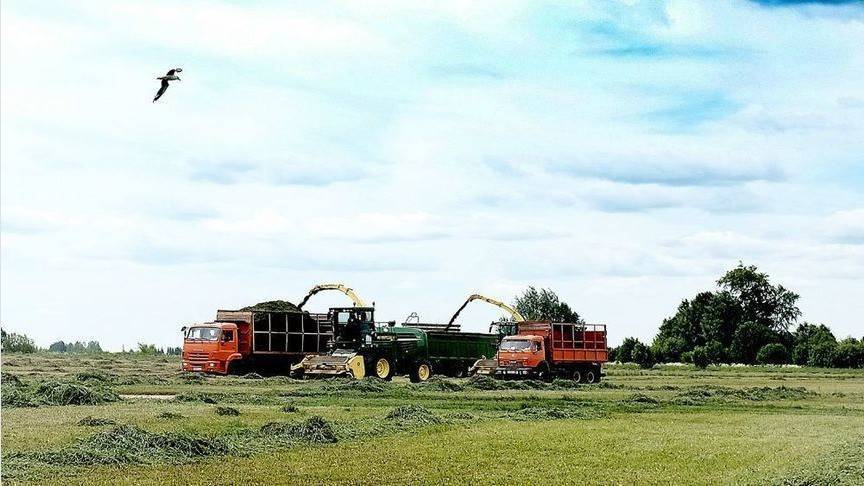 Сельскохозяйственные предприятия Кировской области приступили к массовой заготовке кормов