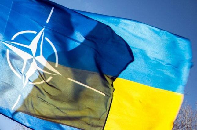 Киеву дали понять, что вопрос вступления в НАТО нельзя решать демократично