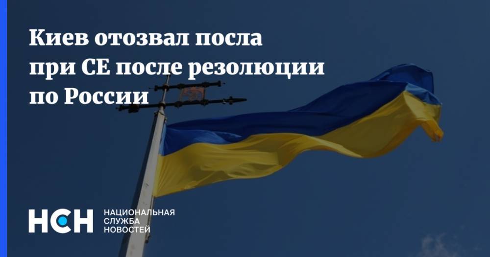 Киев отозвал посла при СЕ после резолюции по России