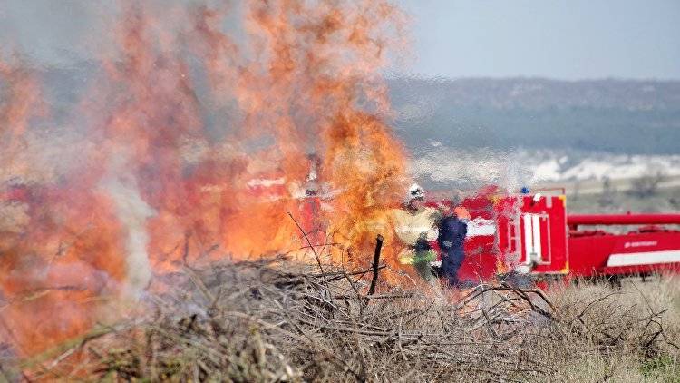 Лесной пожар на два гектара: огнеборцы потушили крупное возгорание в Крыму