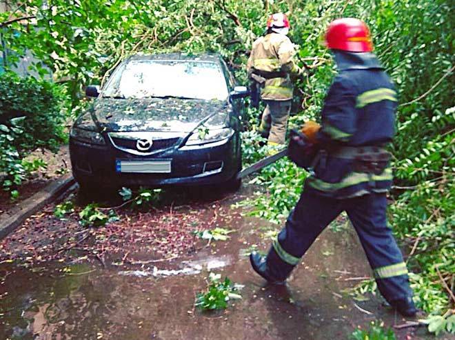 В Измаиле дерево упало на автомобиль, пострадавших нет
