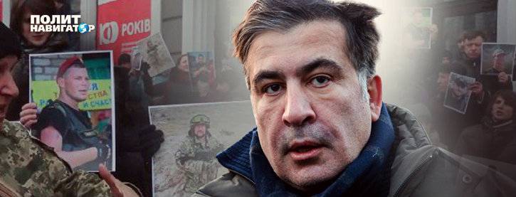 Саакашвили нацелился в мэры Одессы | Политнавигатор