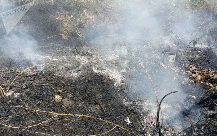 Обгоревшие деревья, 50 га корма для скота: крупный пожар в Армавирской области