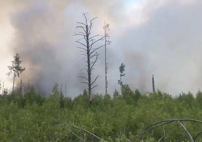 «Гринпис»: пожар в Сельцах не могли потушить из-за взрывов боеприпасов