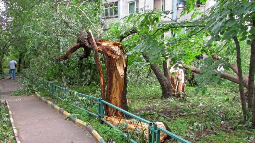 Ураган в Татарстане: ветер нанес ущерб в нескольких районах