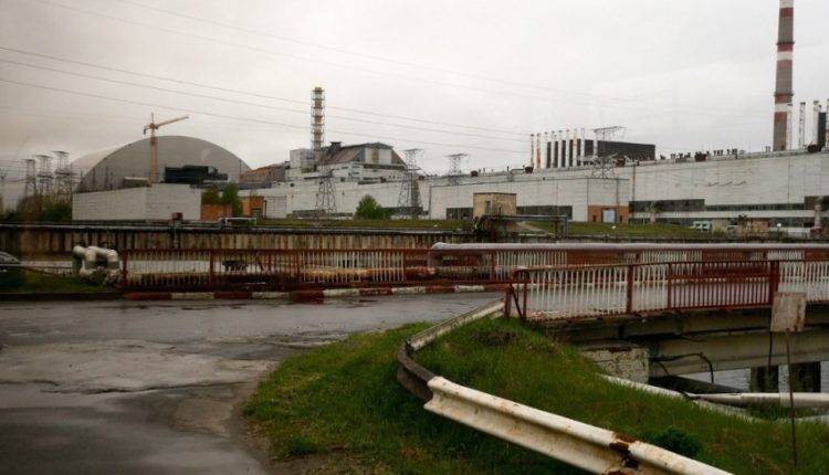 Тайна Чернобыля: почему растения не погибают от радиации