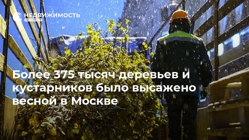 Более 375 тысяч деревьев и кустарников было высажено весной в Москве