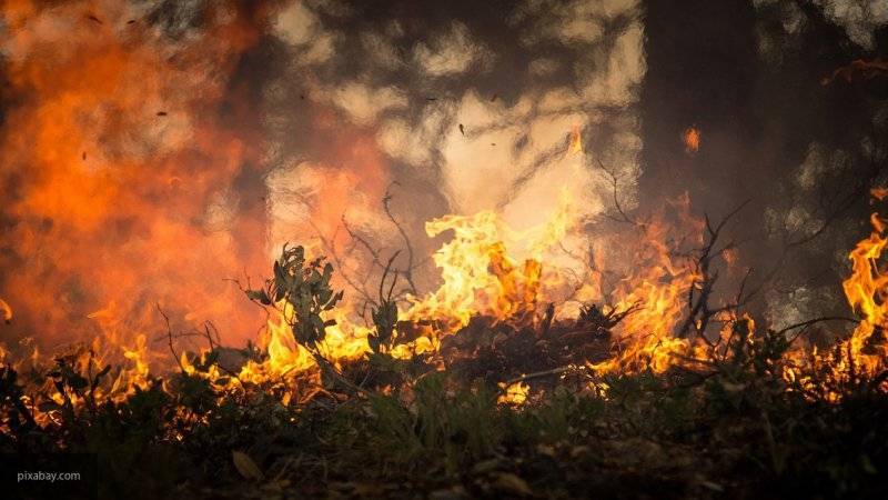 Крупный природный пожар потушен в Москве