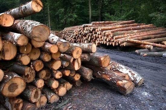 Красноярский край надеется на поддержку сенаторов в решении проблем лесостроительного комплекса