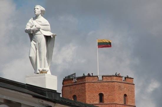 Кабмин Литвы выступил против идеи разрешить ополченцам заниматься политикой
