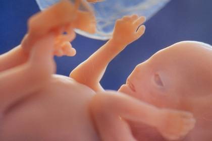 Обнародован проект документа РПЦ об эмбрионах, абортах и убийствах