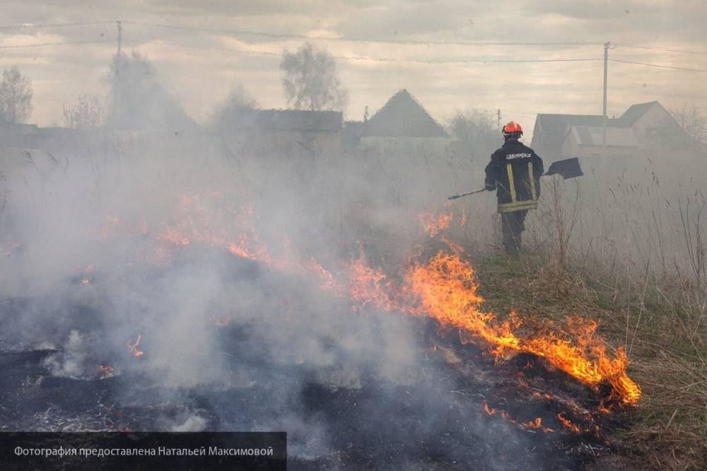 Пожарные борются с огнем в Московской области