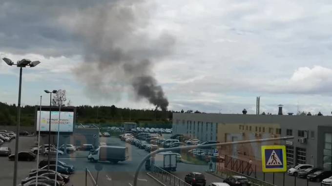 Видео: рядом с Волхонским шоссе загорелась свалка