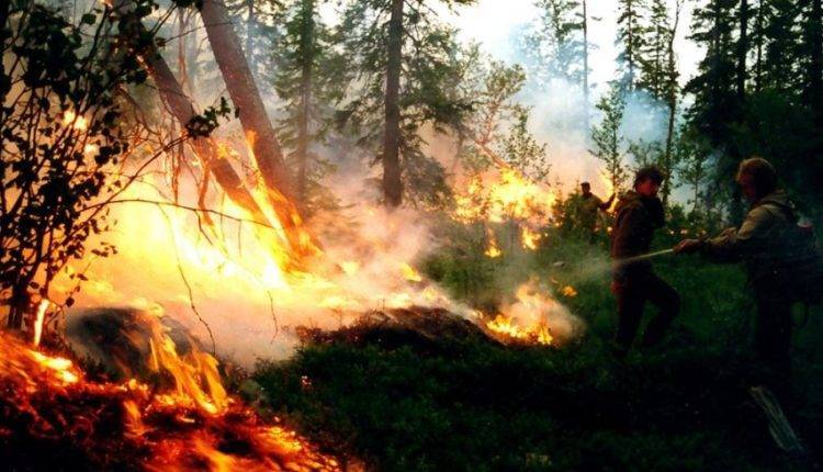 «Лесной десант» укрощает пожары в Якутии взрывчаткой