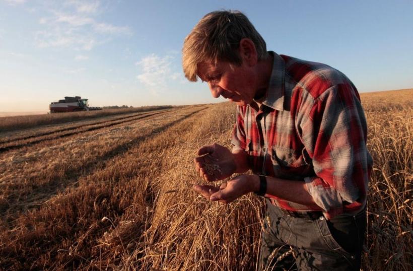 В России расширен список сельхозработников, претендующих на надбавку к пенсии