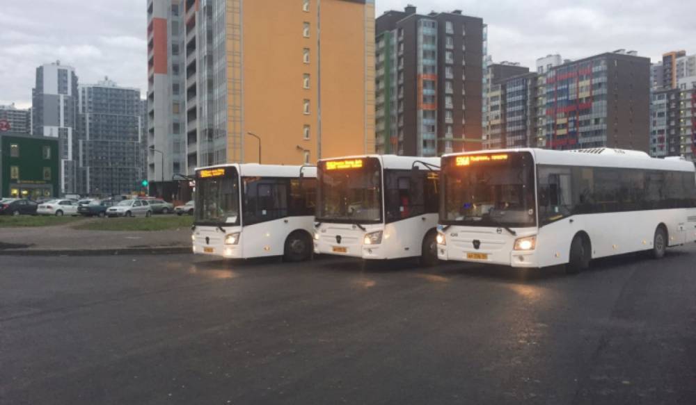 В Пушкинском районе запускают новый автобусный маршрут