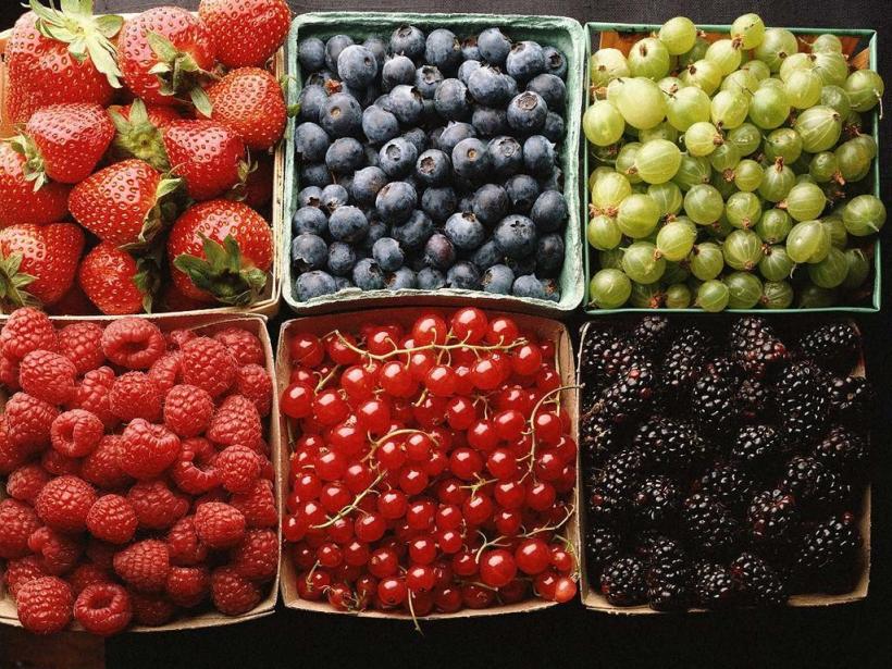 Диетолог рассказала, какое количество ягод принесет пользу организму