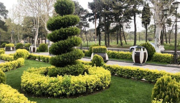 Зеленые и обновленные: парки Кишинева реконструируют впервые за полвека