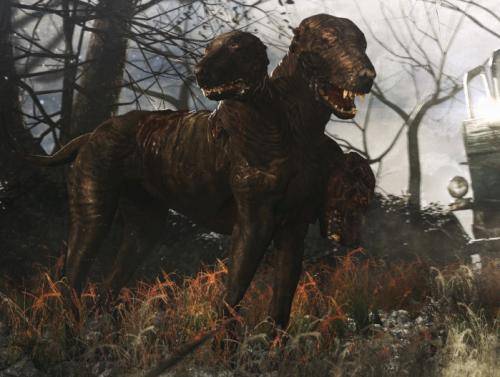 «Скачут быстрее леопарда»: Подземные псы-мутанты обнаружены в лесах подмосковья