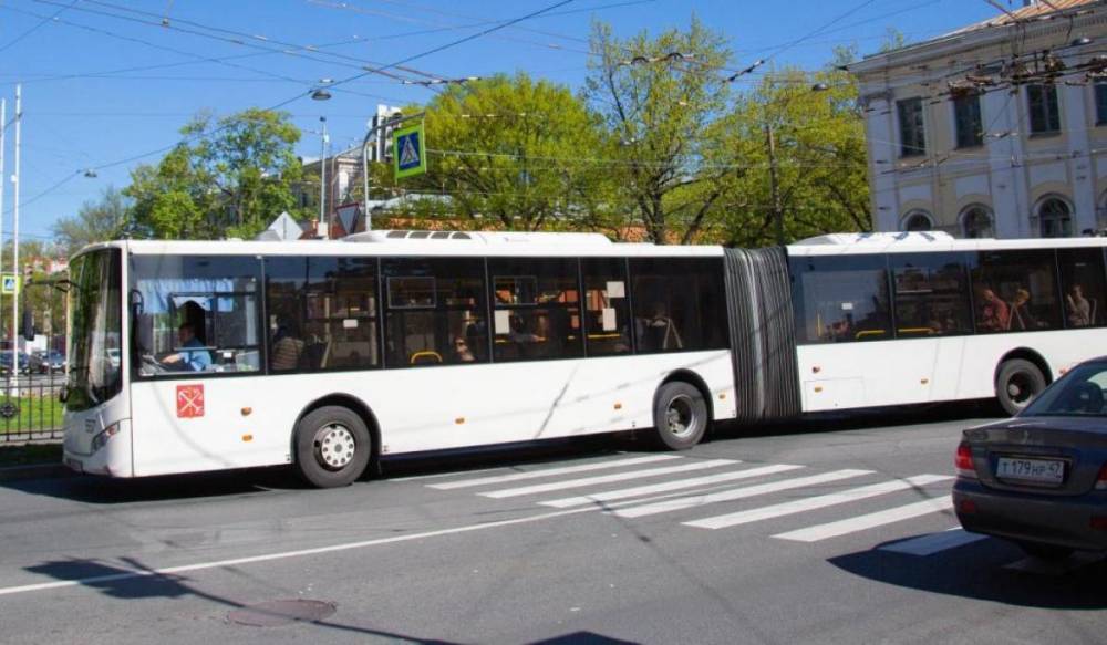 Автобус № 176 довезет до института Вредена и Елизаветинской больницы