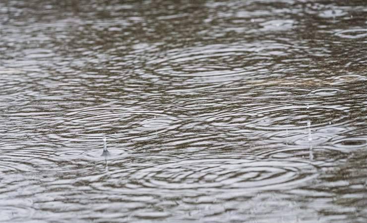 «Поплыли...» Гомель затопило дождем — подборка фото и видео из соцсетей горожан