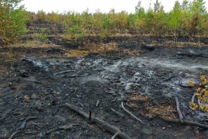 Учения российских солдат закончились взрывами и лесными пожарама