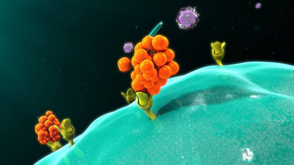 Ученые нашли способ удержать цитокины в противораковых лекарствах