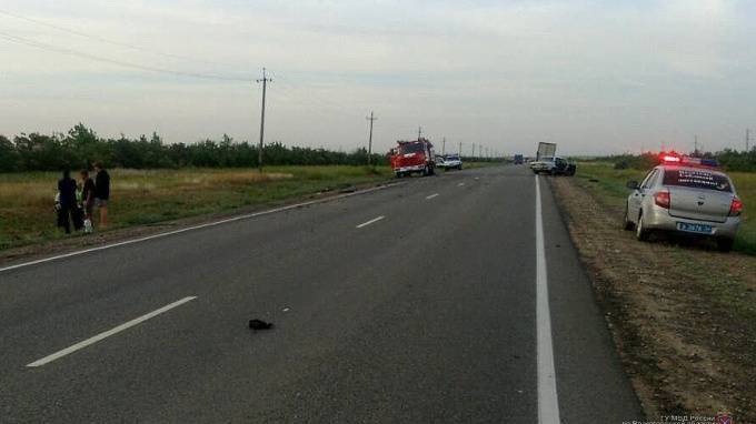 Под Волгоградом выбежавший на дорогу лось спровоцировал смертельное ДТП