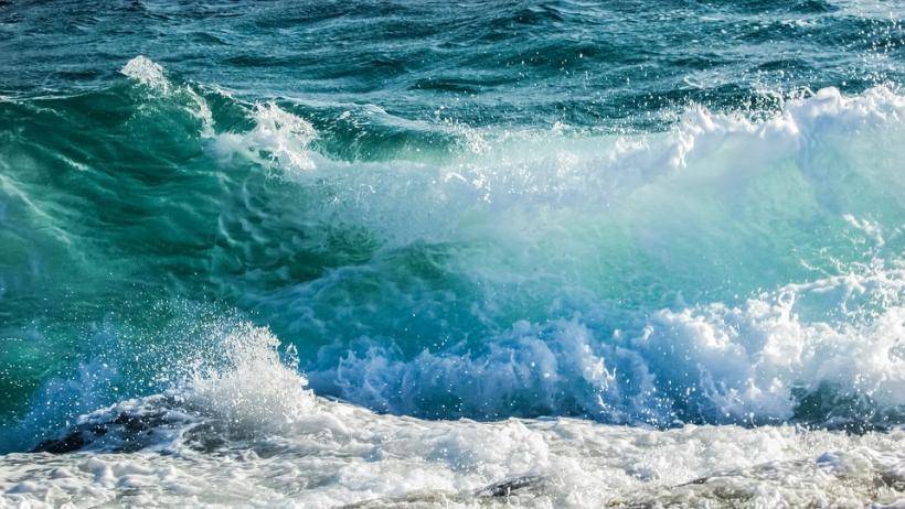 Во Флориде ребенок подхватил смертельно опасную инфекцию после купания в океане