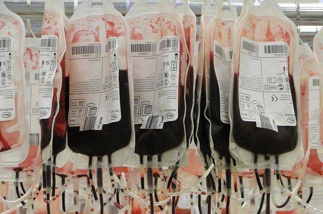 В России ужесточат контроль качества донорской крови — Известия