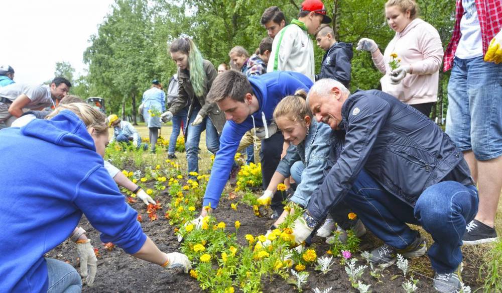 Молодежь Приморского района украсила цветами аллею на Школьной улице