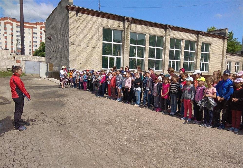 Ульяновские школьники сдали 10 тонн макулатуры, чтобы накормить лошадей