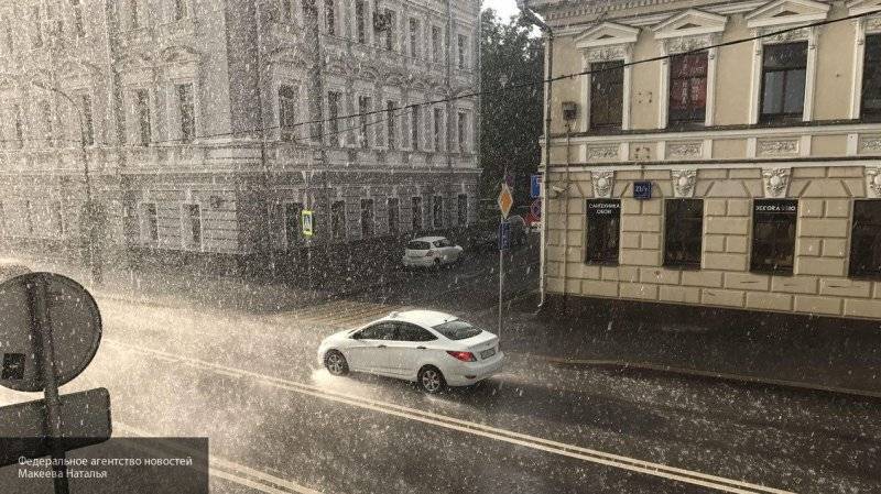 МЧС предупредило москвичей о сильном ветре и дожде