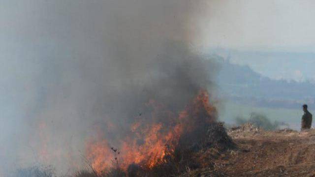 Огненный террор продолжается: 25 пожаров за день на юге Израиля