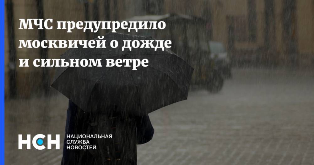 МЧС предупредило москвичей о дожде и сильном ветре