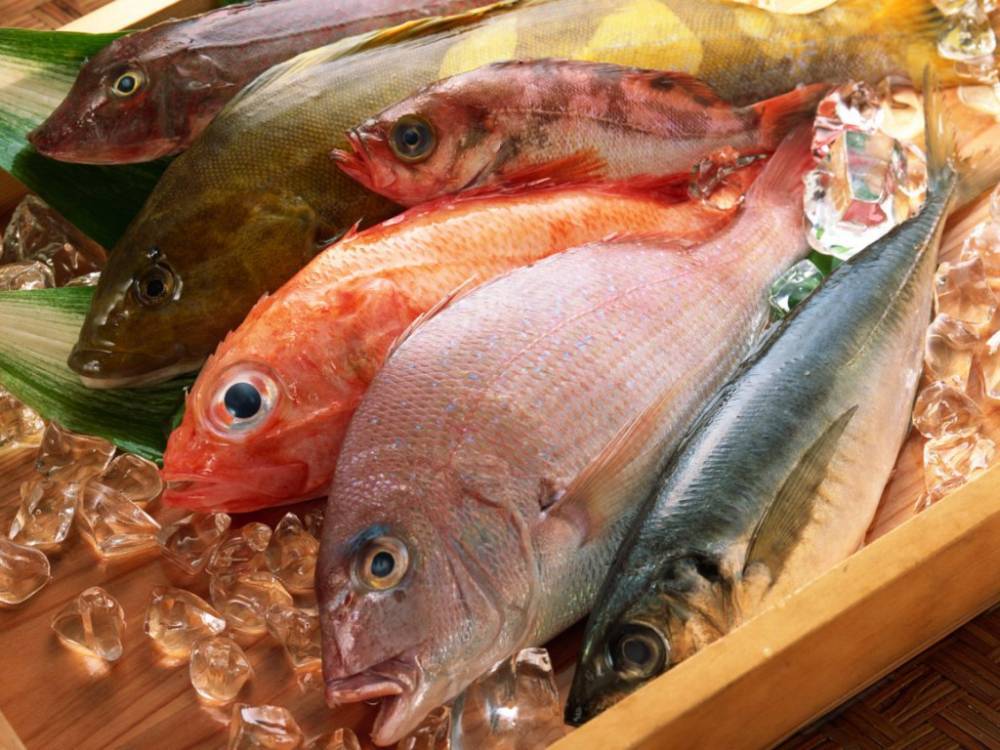 Медики рассказали, какая рыба провоцирует рак: от нее лучше отказаться