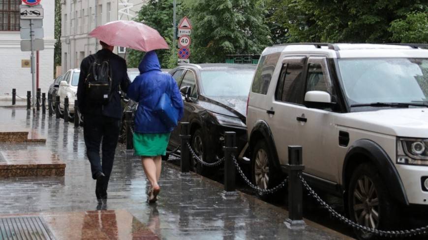 МЧС предупреждает: дождь и сильный ветер ожидаются в Москве