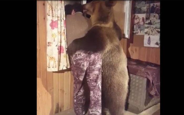 "Не кисни, братан, я с тобою!" Русский мужик в объятиях медведя - видеосмех