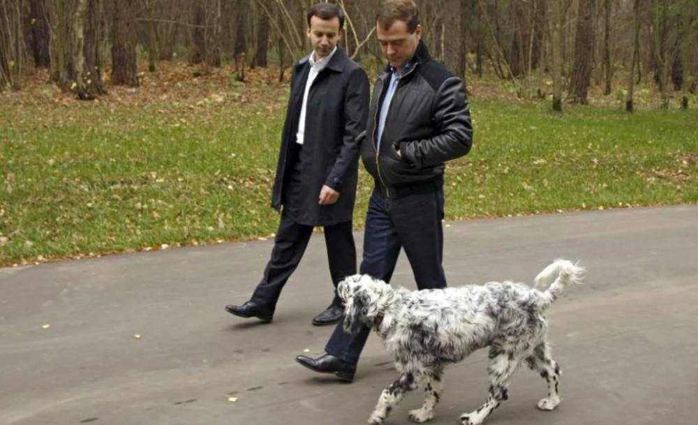 Медведев запретил россиянам держать дома опасных животных