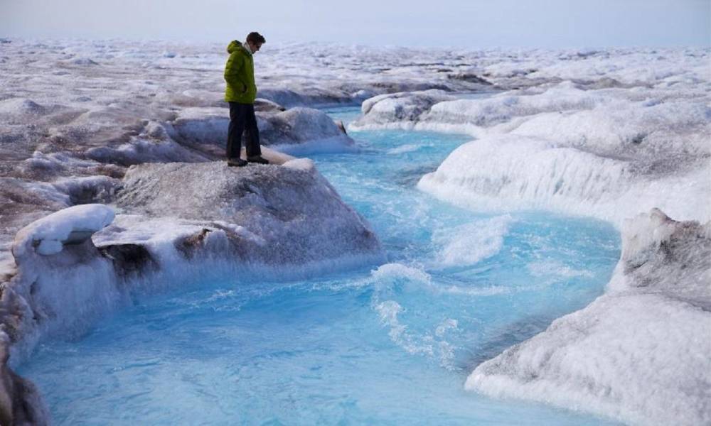 Ученые обнаружили под ледником неожиданную находку: там кишит жизнь