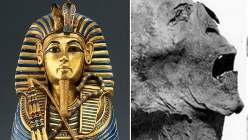 "Проклятие фараонов": ученые рассказали, от чего умирали археологи на самом деле