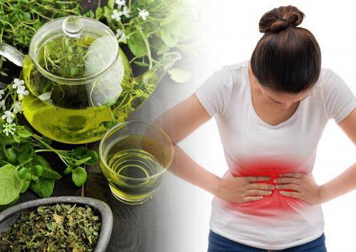 Зелёный чай спасёт от рака? Напиток убережёт от онкологии и поможет похудеть