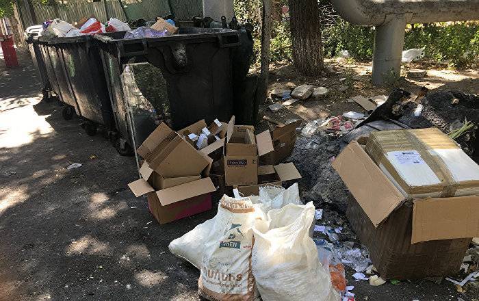 Не забудь хрюкнуть, или Как избавить Ереван от "мусорных гор"