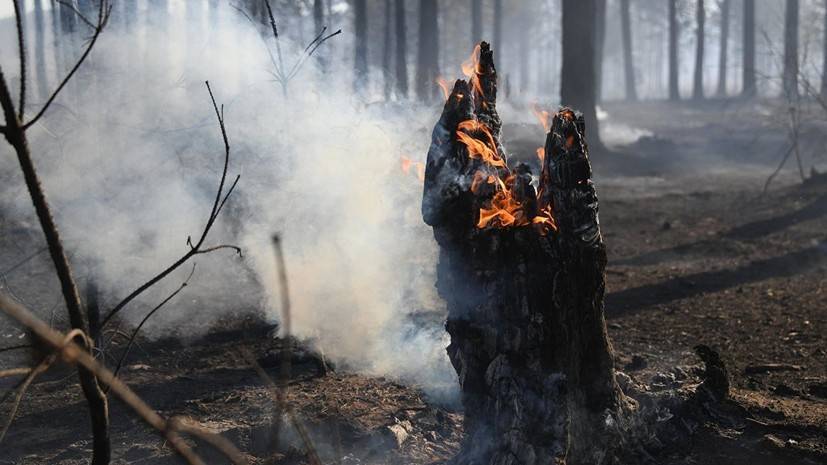 В Оренбуржье начался природный пожар на границе с Казахстаном