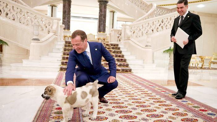 Медведеву подарили царского щенка | Вести.UZ